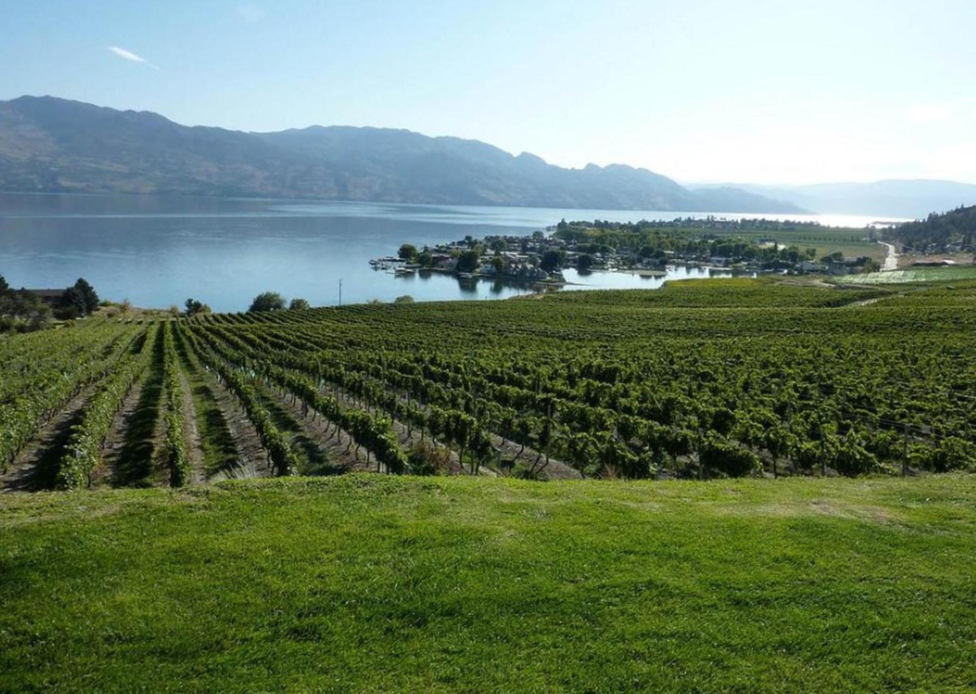 Holiday Inn Hotel & Suites Osoyoos By Ihg Exterior foto
